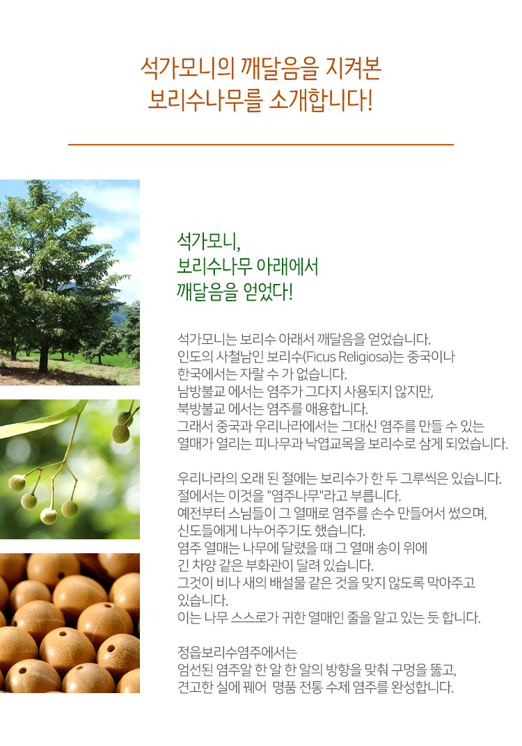 보리수나무